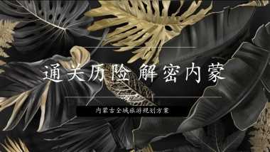 西部省份全域旅游规划方案