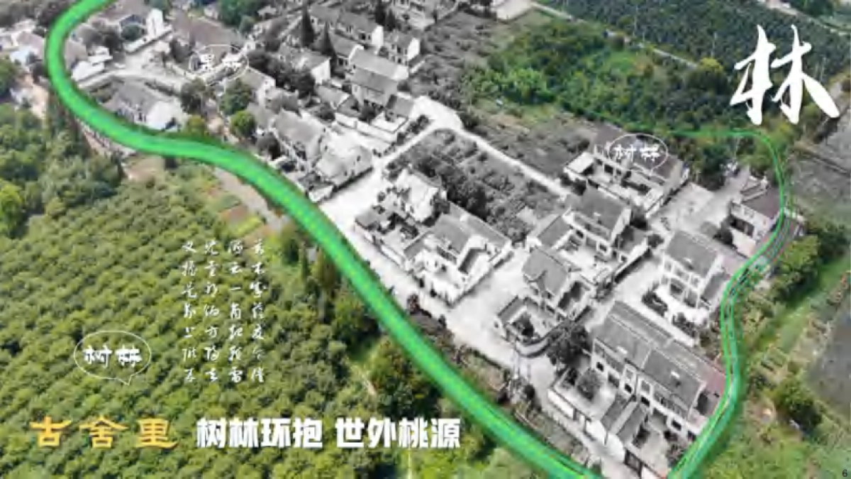 古舍里南章村稻田农耕研学乡村振兴文旅项目设计规划运营方案_第7页