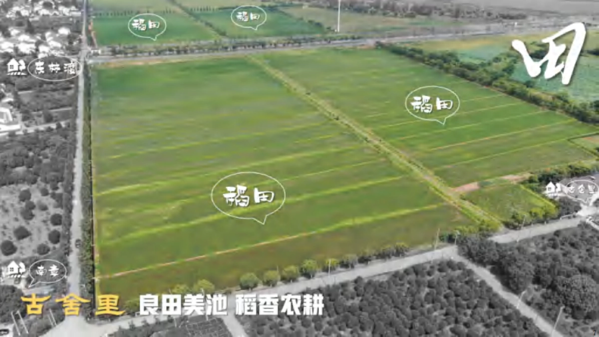 古舍里南章村稻田农耕研学乡村振兴文旅项目设计规划运营方案_第8页