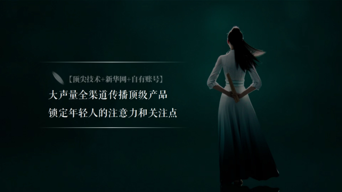 新华网AI数字人筱竹商务运营方案_第9页