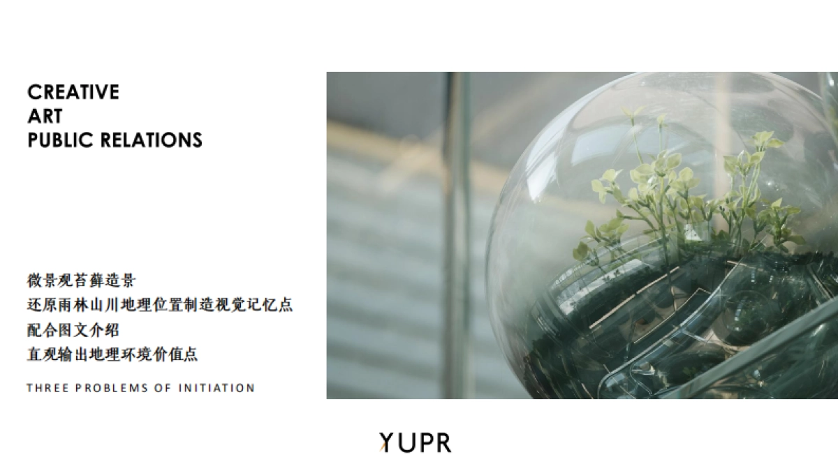 茶叶品牌福海班章主题有机日新品发布会活动方案_第10页