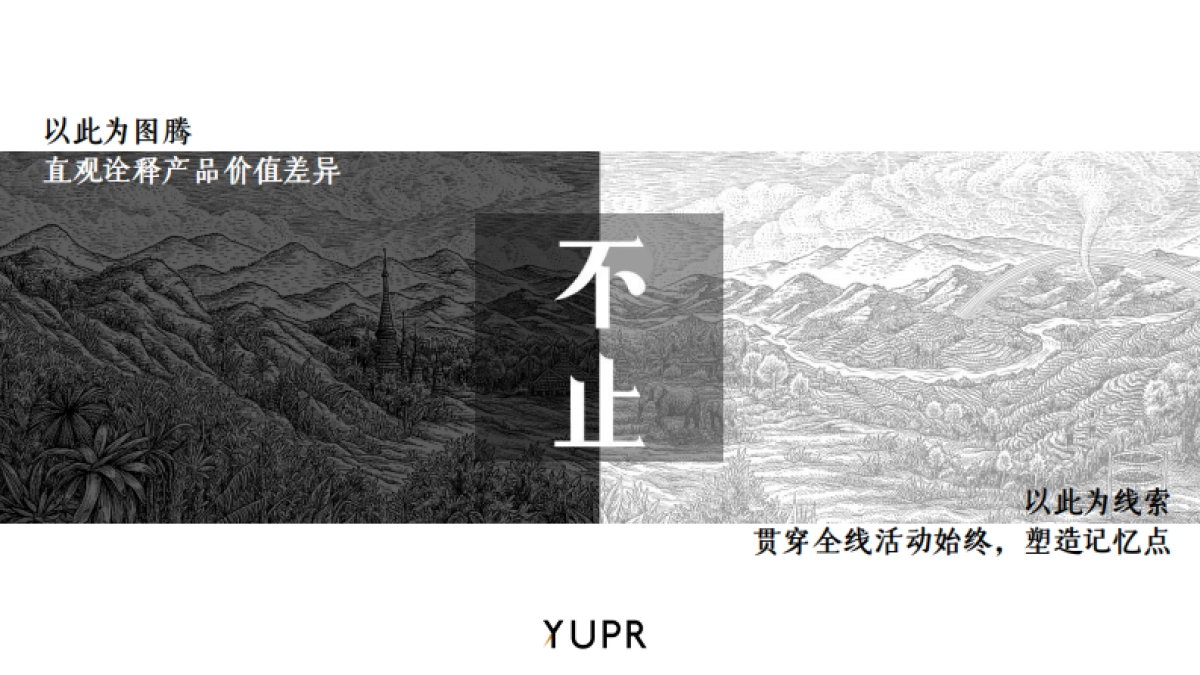 茶叶品牌福海班章主题有机日新品发布会活动方案_第7页