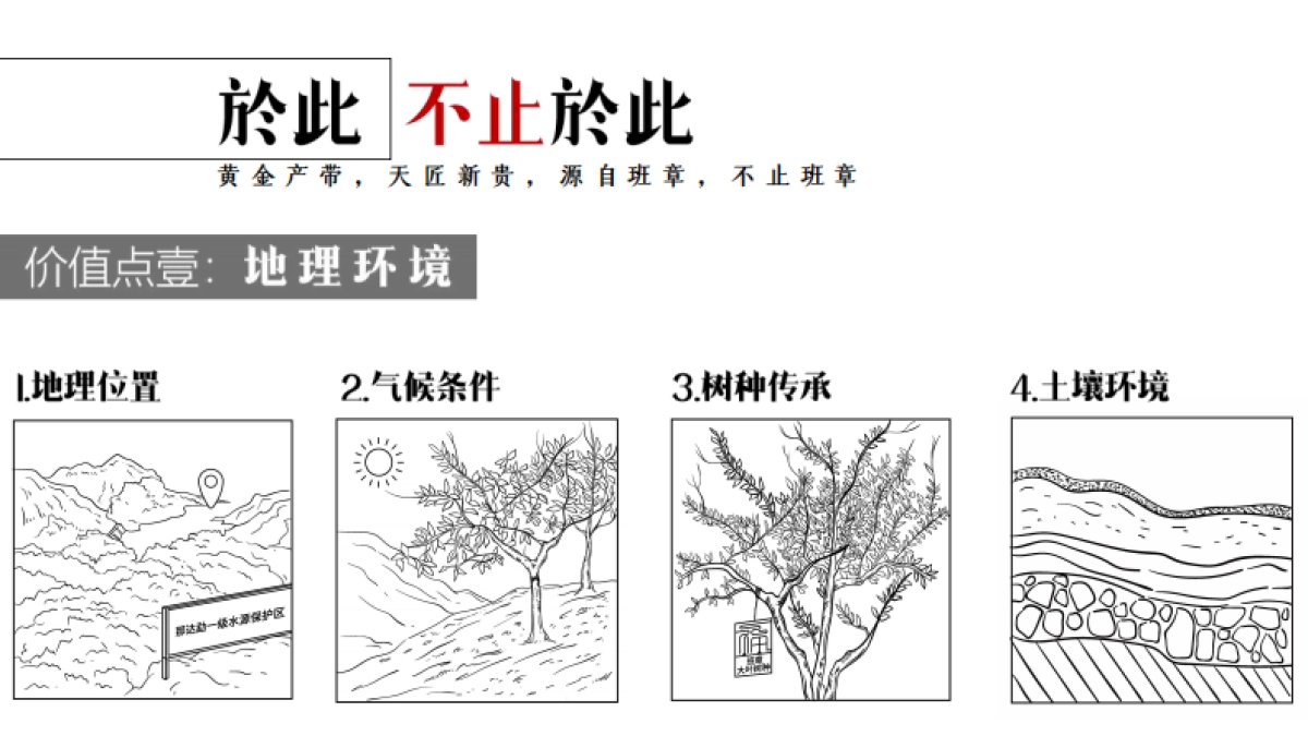 茶叶品牌福海班章主题有机日新品发布会活动方案_第9页