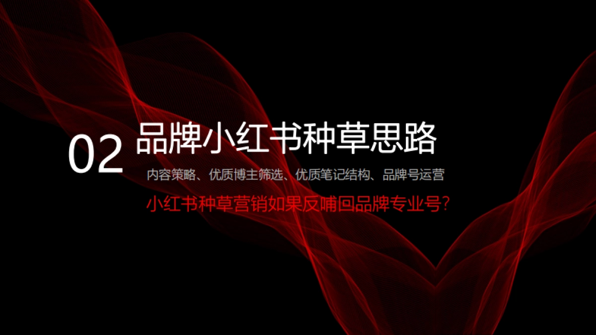 法国皮尔卡丹-小红书种草营销方案_第6页