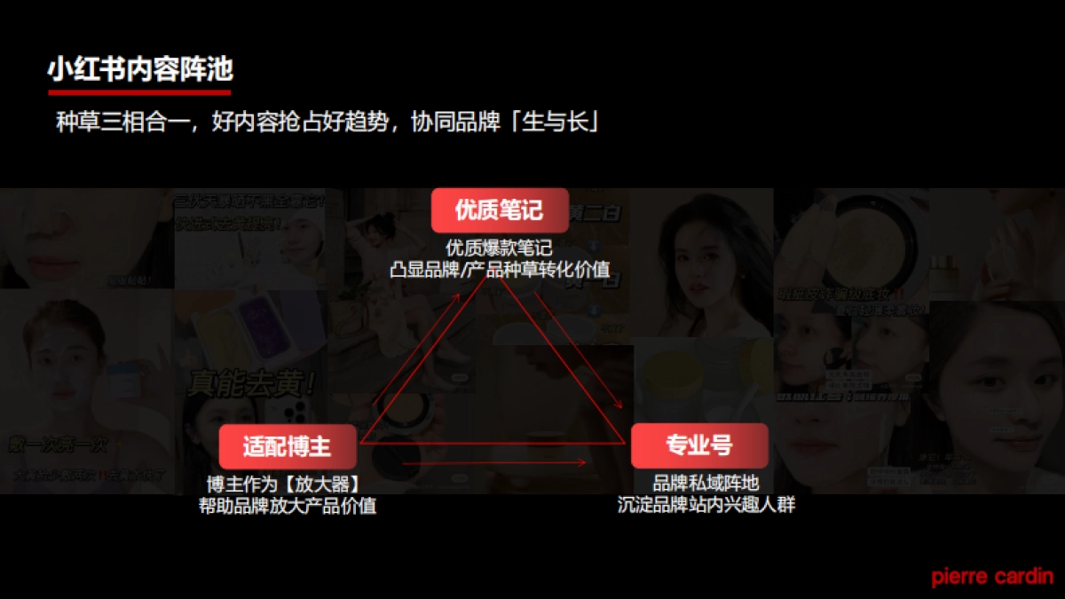 法国皮尔卡丹-小红书种草营销方案_第8页