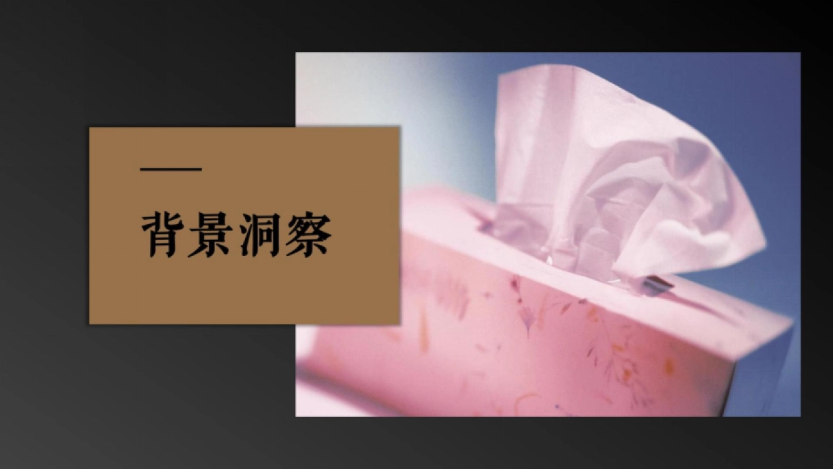 中顺洁柔LOGO形象升级与整合内容营销方案_第10页