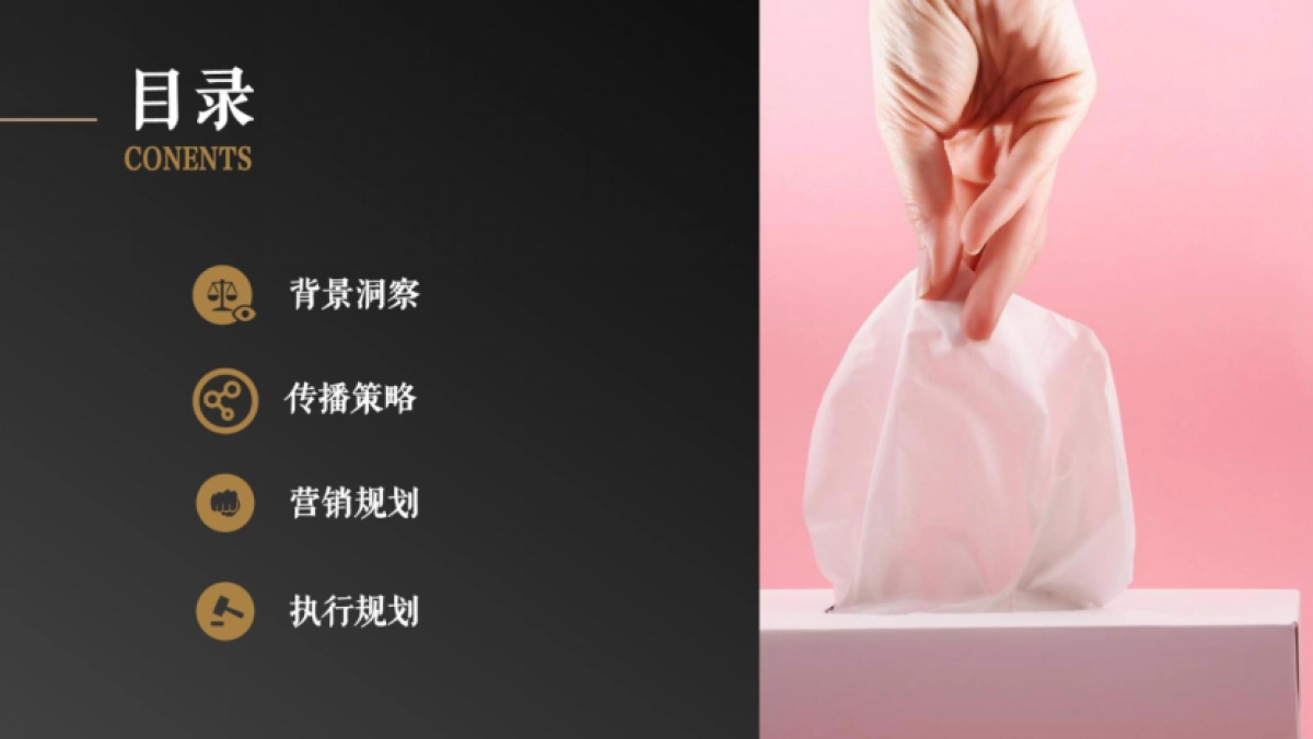 中顺洁柔LOGO形象升级与整合内容营销方案_第9页