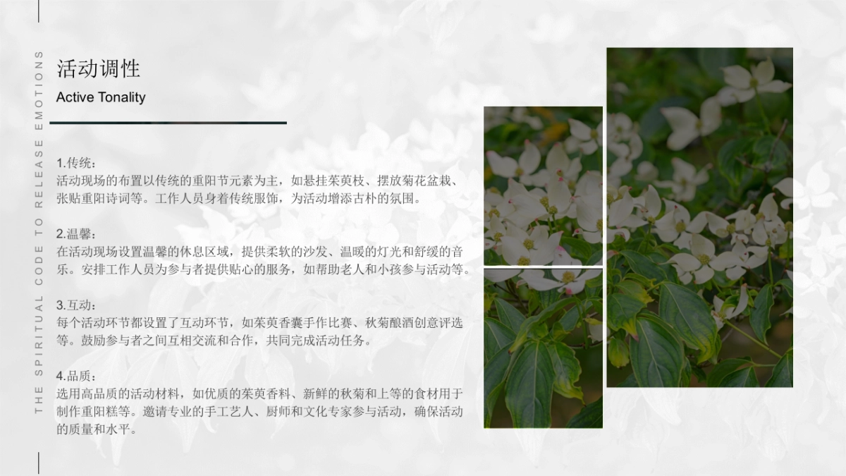 重阳节暖场系列「福满金秋·相约重阳主题」活动策划方案_第10页