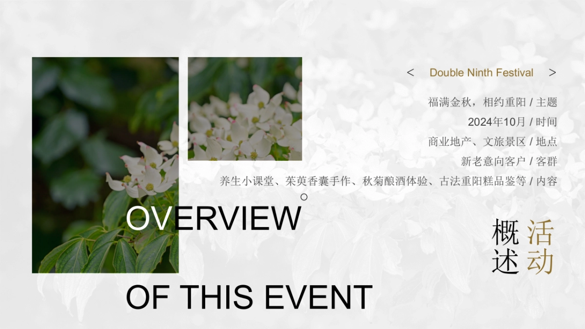 重阳节暖场系列「福满金秋·相约重阳主题」活动策划方案_第9页