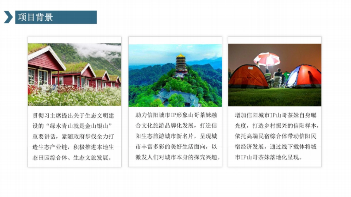 山哥茶妹IP主题民宿文旅项目定位规划策划案_第4页