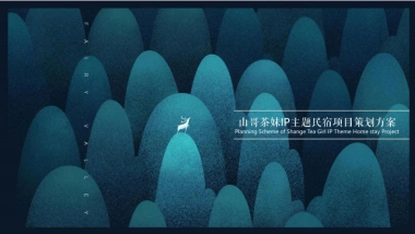 山哥茶妹IP主题民宿文旅项目定位规划策划案