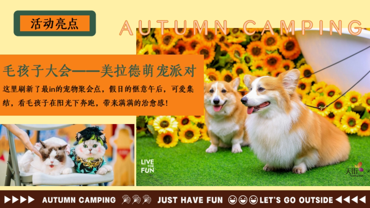 文旅景区秋日美拉德复古生活节「野在秋风里主题」活动策划方案_第9页