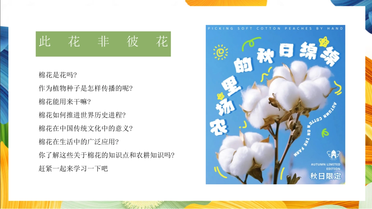 「秋日棉棉 FUN享快乐」秋收棉花主题研学系列活动策划方案_第3页