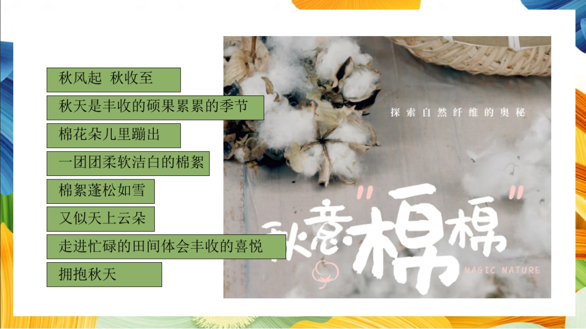 「秋日棉棉 FUN享快乐」秋收棉花主题研学系列活动策划方案_第4页