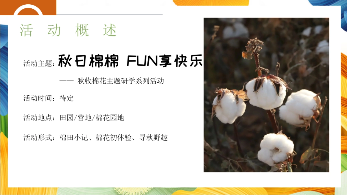 「秋日棉棉 FUN享快乐」秋收棉花主题研学系列活动策划方案_第7页