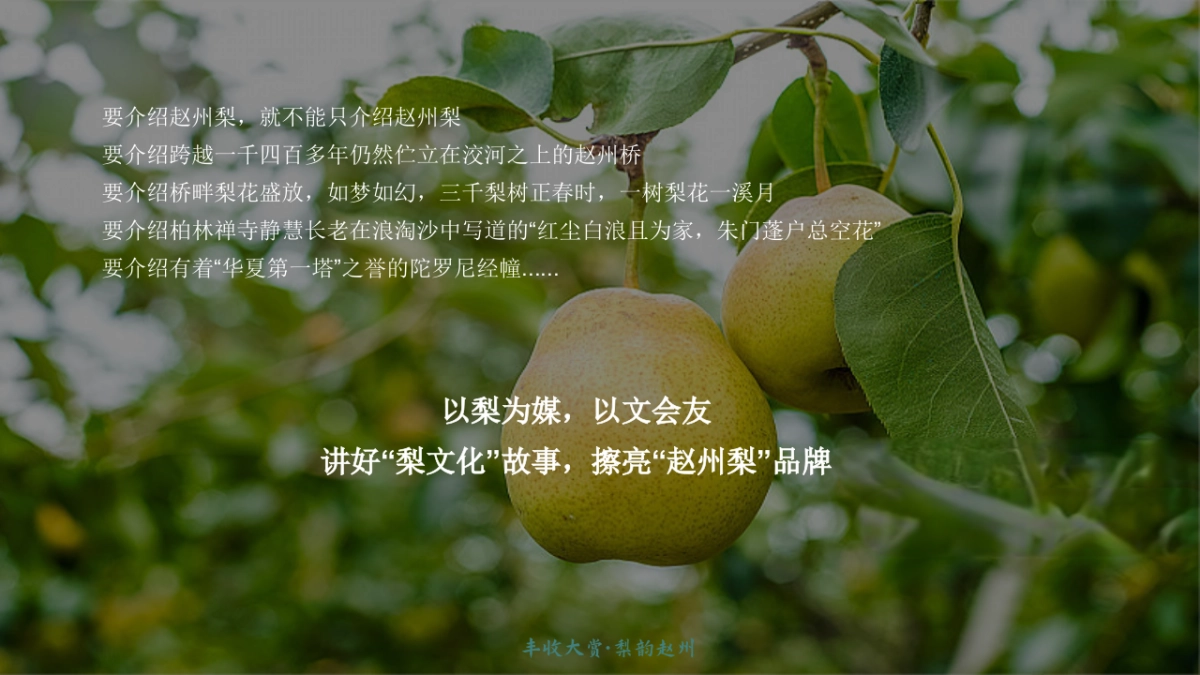 第四届赵州梨产业丰收节暨梨果产业推介会「丰收大赏 梨韵赵州主题」策划方案_第4页