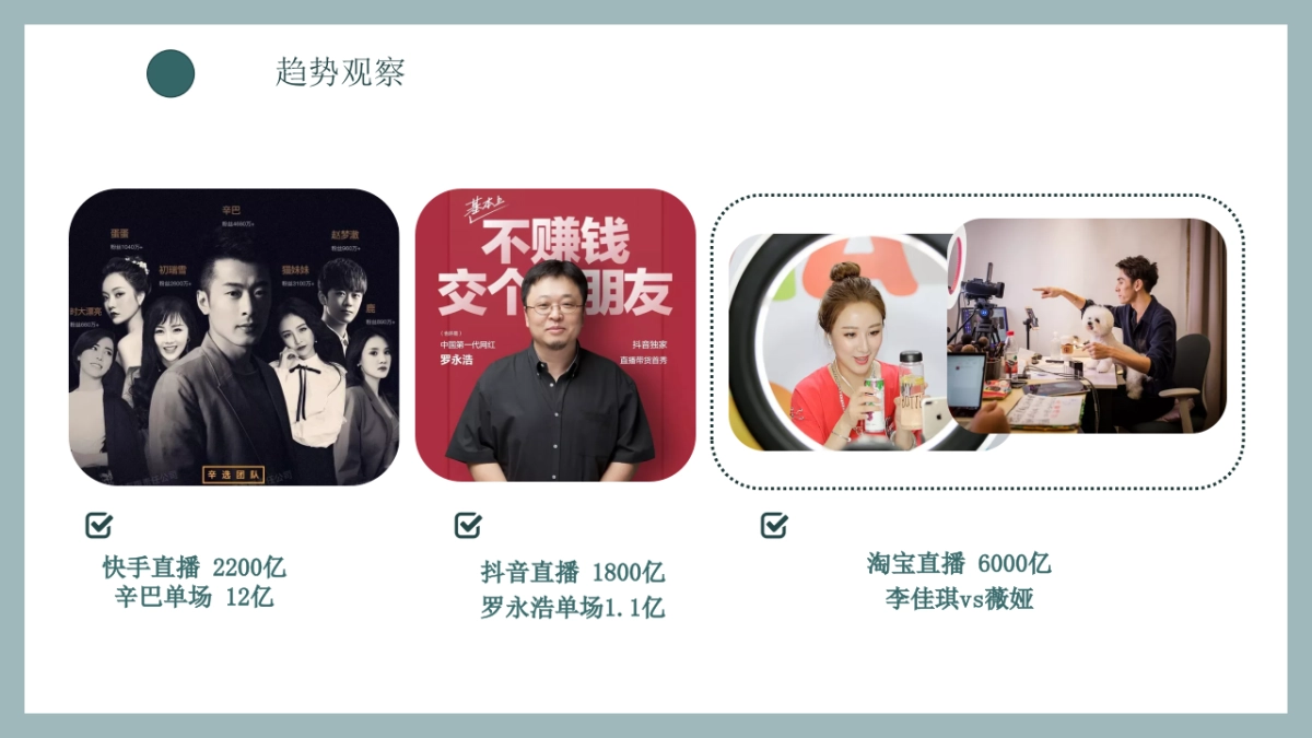 电商直播带货个人品牌实战指南_第10页