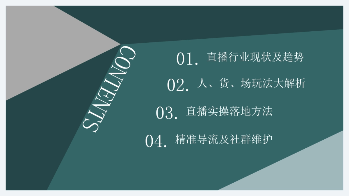 电商直播带货个人品牌实战指南_第3页