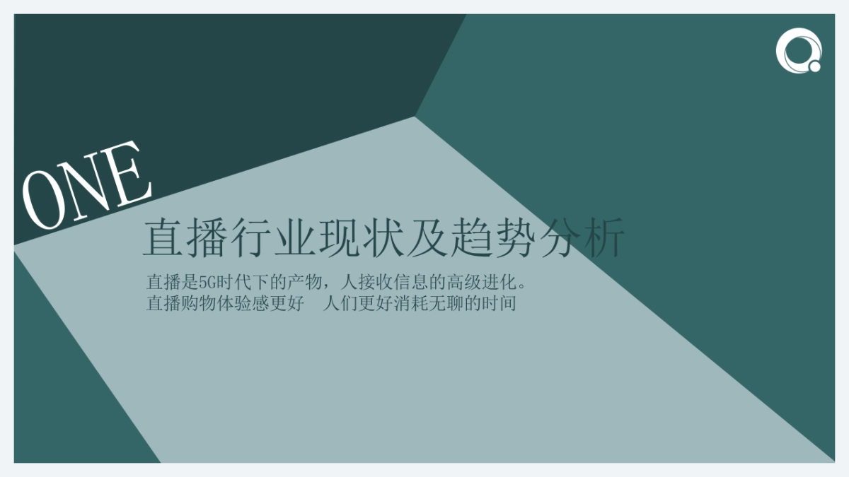电商直播带货个人品牌实战指南_第4页