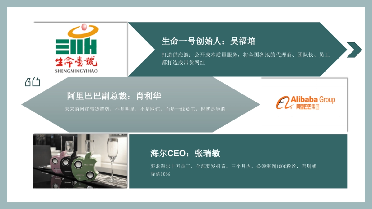 电商直播带货个人品牌实战指南_第9页