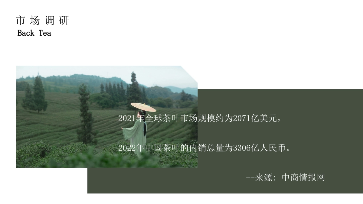 鸾公子女性红茶超级品牌打造营销全案_第6页