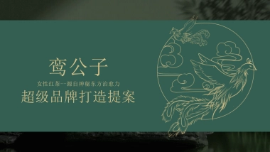 鸾公子女性红茶超级品牌打造营销全案