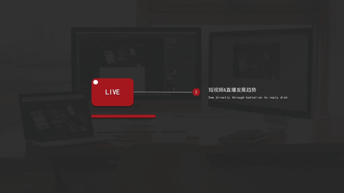 砂之船奥特莱短视频直播策划汇报_第8页