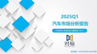 2025Q1汽车市场分析报告