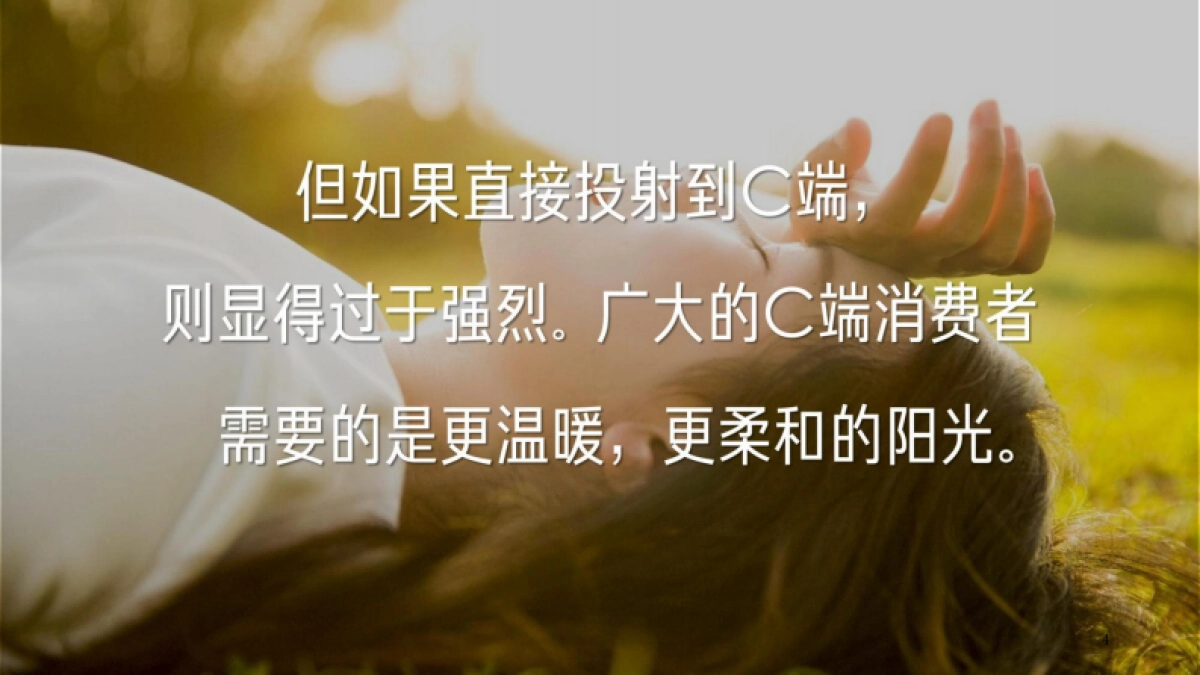 润物无声华润杭州片区年度品牌传播策略案_第7页