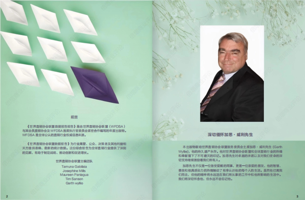 2023年全球直销年度数据报告_第2页