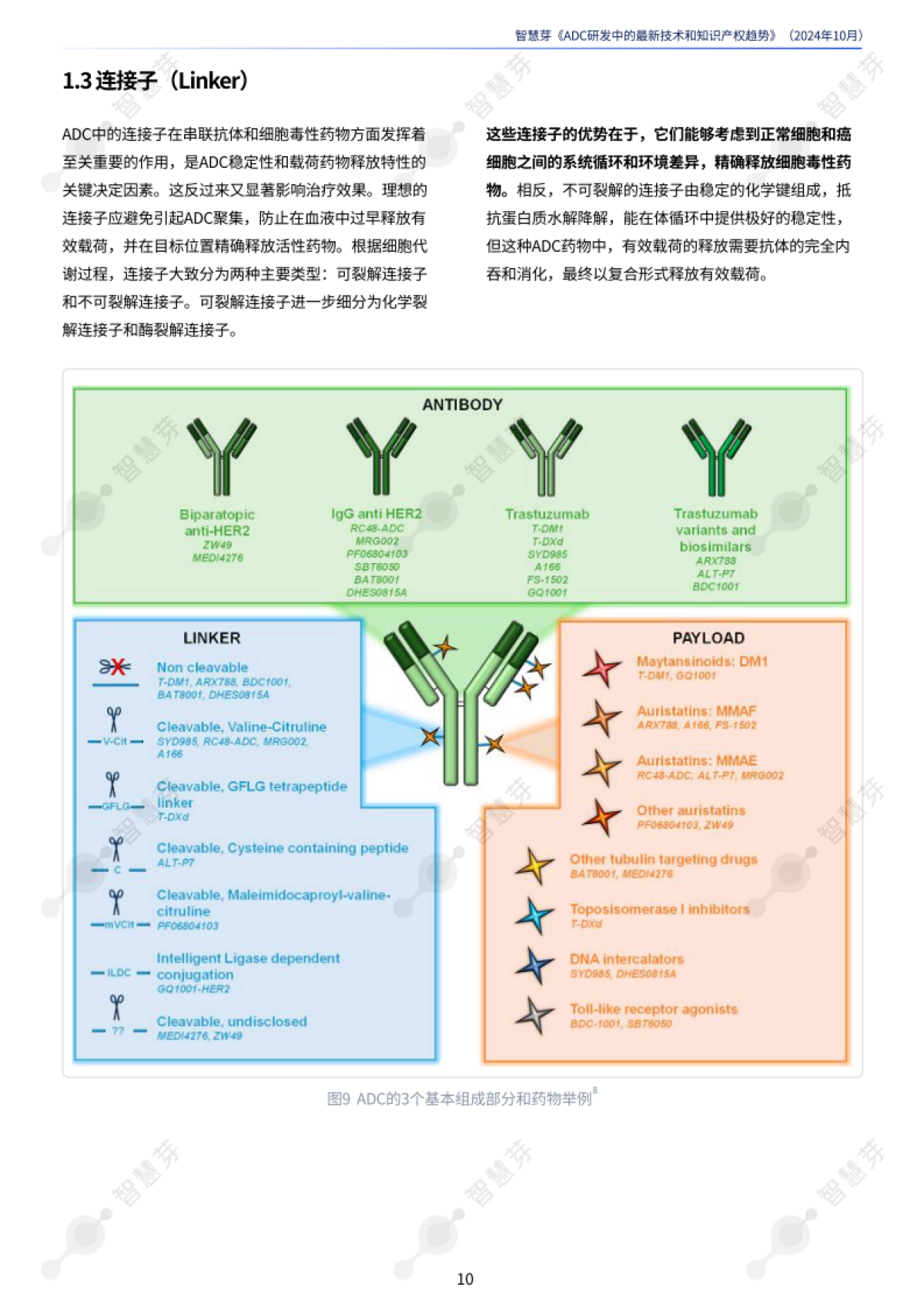 2024年ADC研发中的最新技术和知识产权趋势报告_第10页