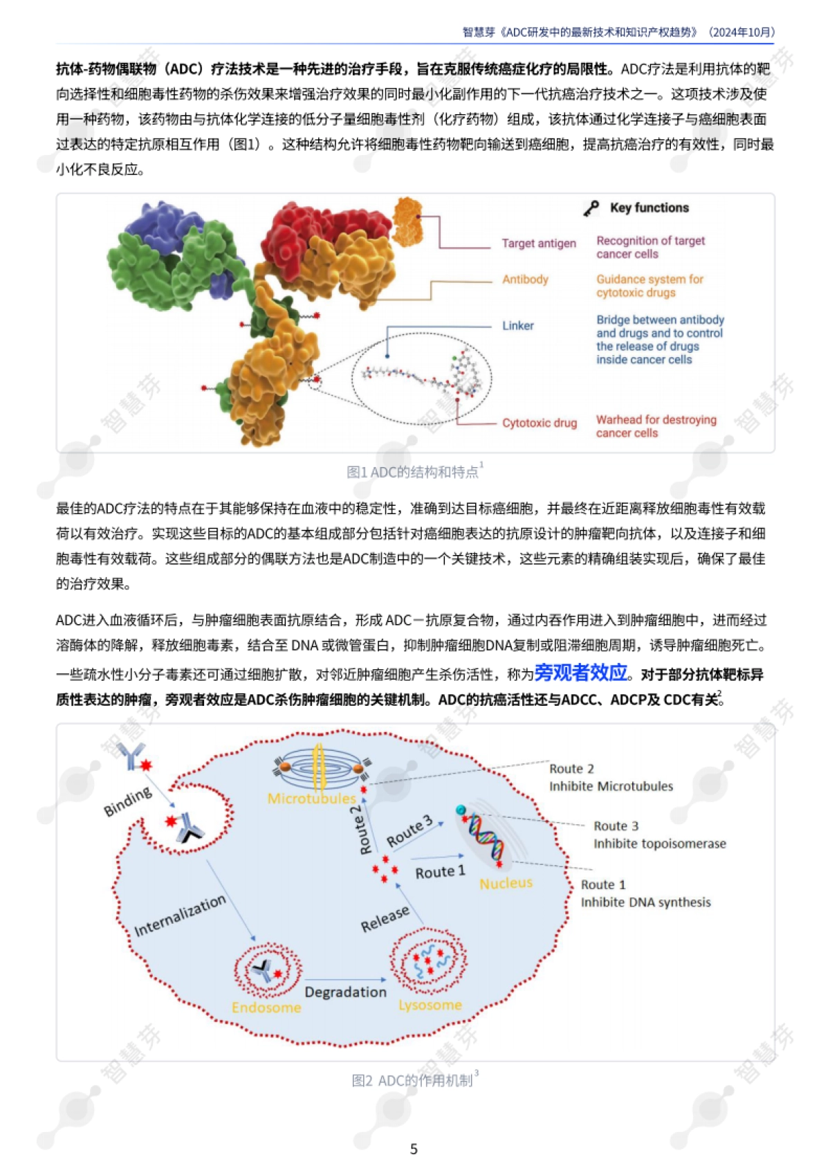 2024年ADC研发中的最新技术和知识产权趋势报告_第5页
