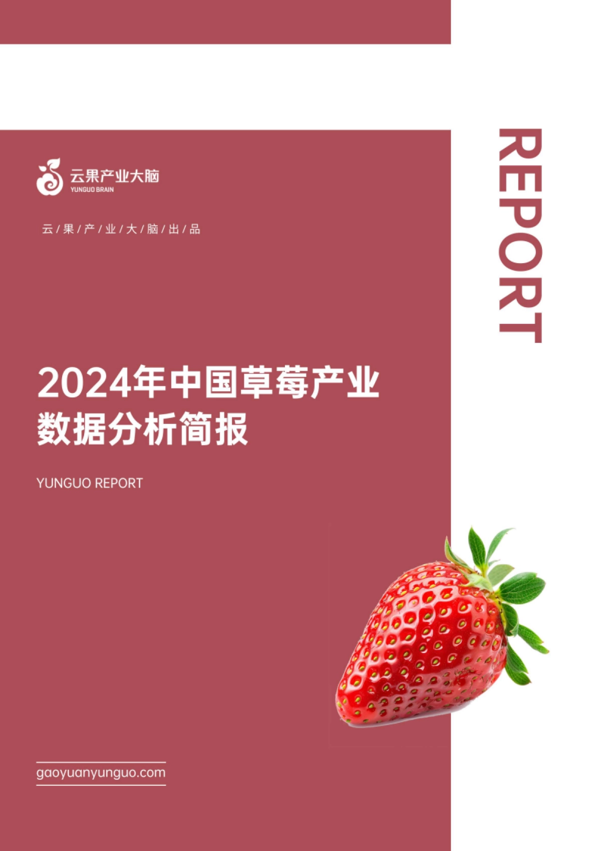 2024年中国草莓产业数据分析简报_第1页