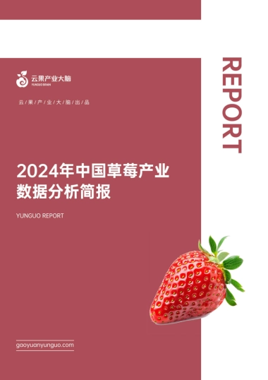 2024年中国草莓产业数据分析简报