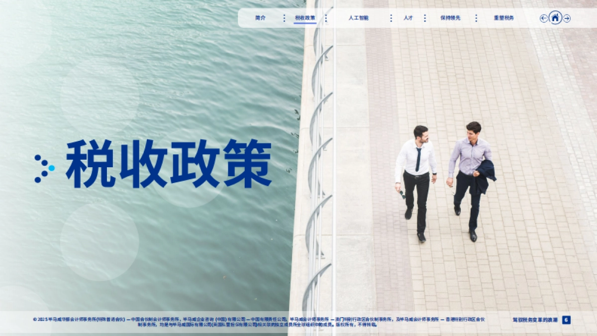 2025年驾驭税务变革的浪潮报告_第6页