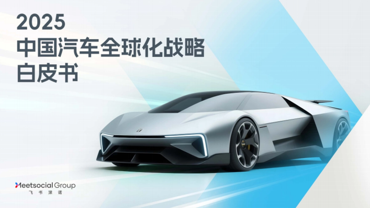 2025年中国汽车全球化战略白皮书_第1页
