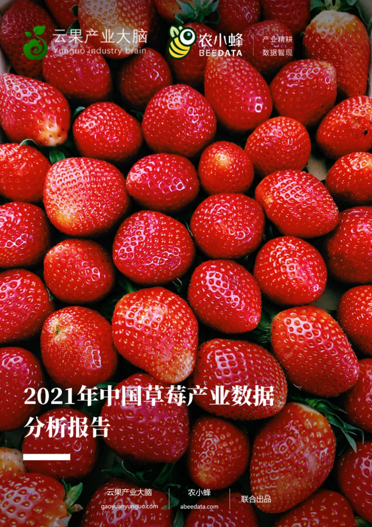 中国草莓产业数据分析报告_第1页