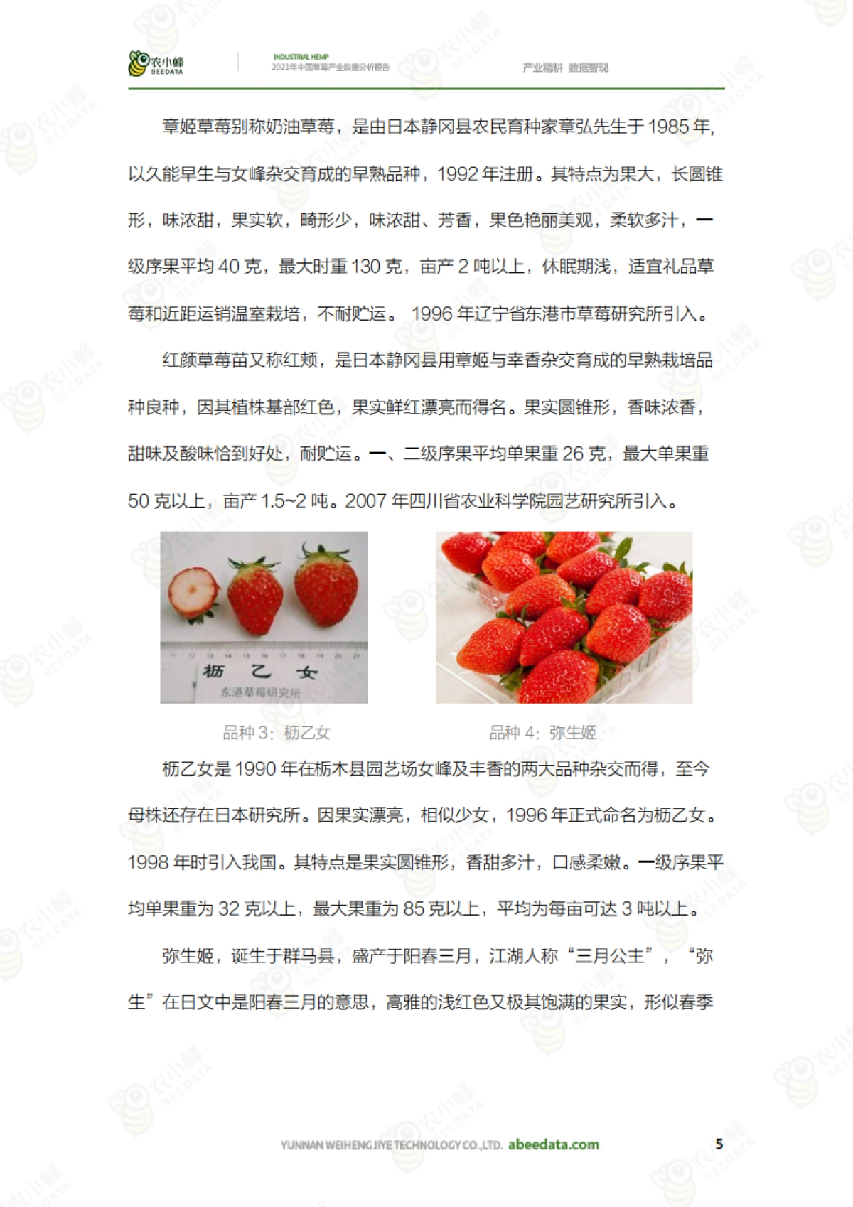 中国草莓产业数据分析报告_第7页