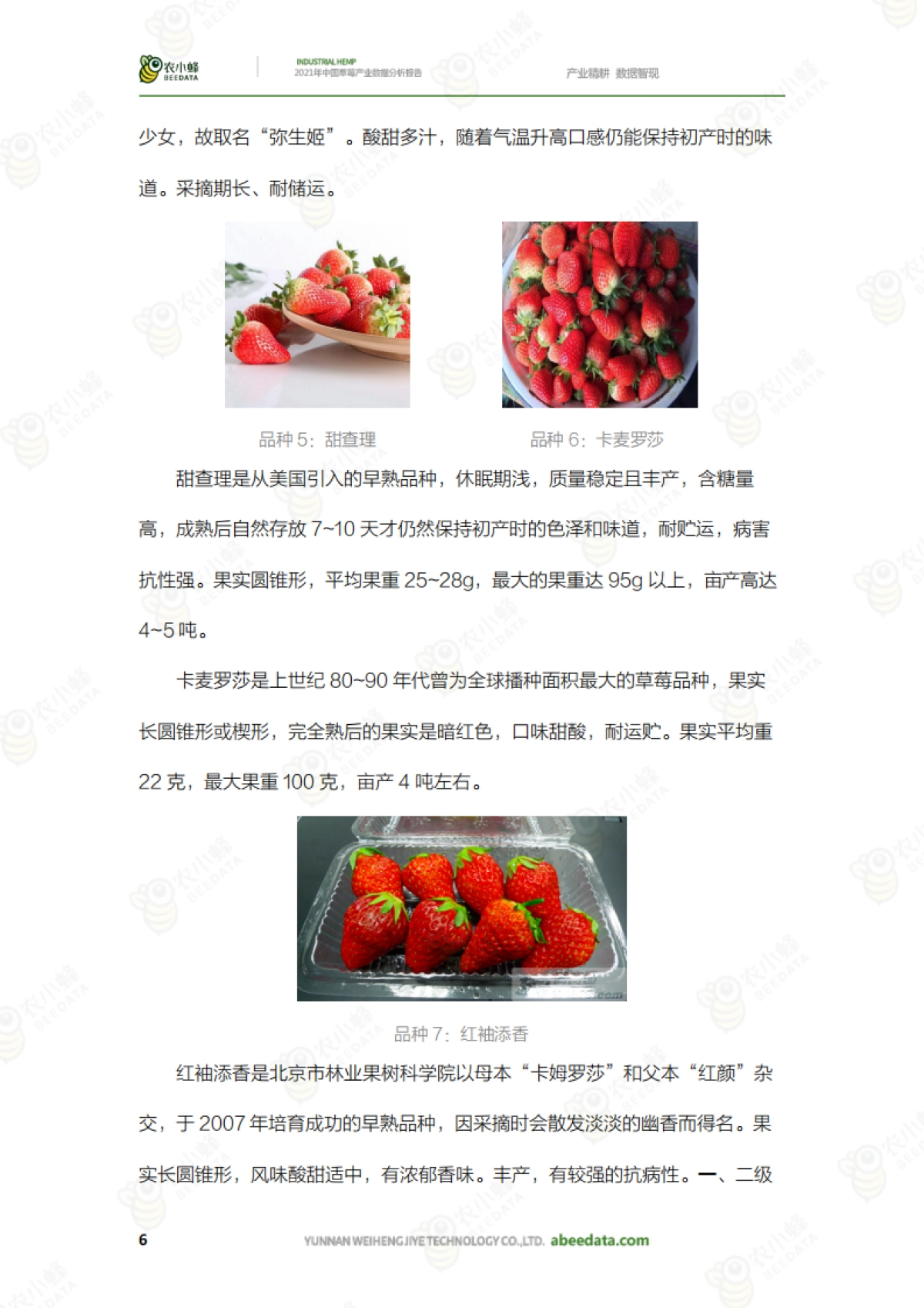 中国草莓产业数据分析报告_第8页
