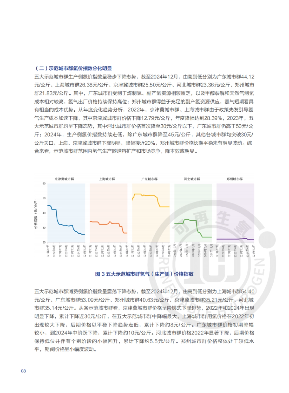 中国氢价指数年度报告 (2025年版)院_第10页