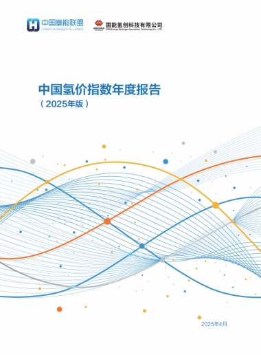 中国氢价指数年度报告 （2025年版）院
