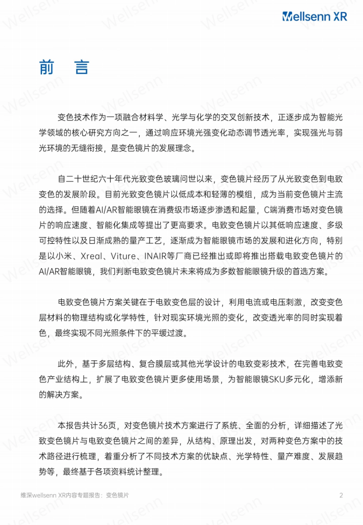 AI智能眼镜电致变色镜片产业研究报告_第2页