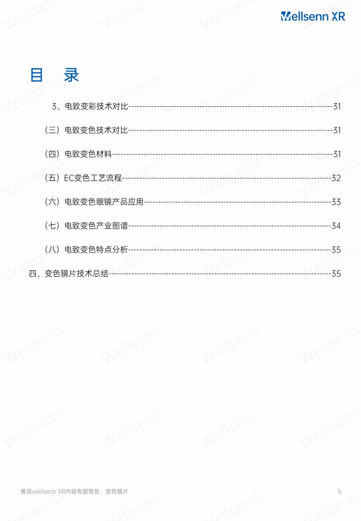 AI智能眼镜电致变色镜片产业研究报告_第5页