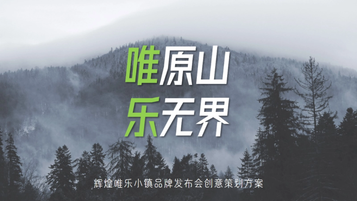 唯乐小镇品牌发布创意方案_第1页