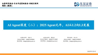 AI_Agent深度：2025_Agent元年，AI从L2向L3发展