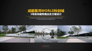 成都温江星河地块商业项目投标方案