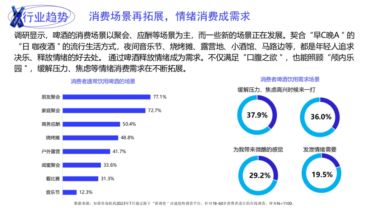 2024啤酒飞行队营销方案_第4页