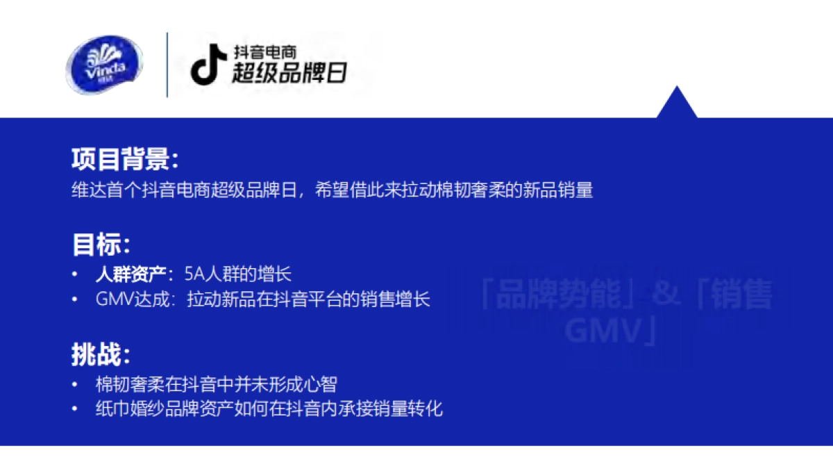 2025年维达抖音电商超级品牌日总结_第2页