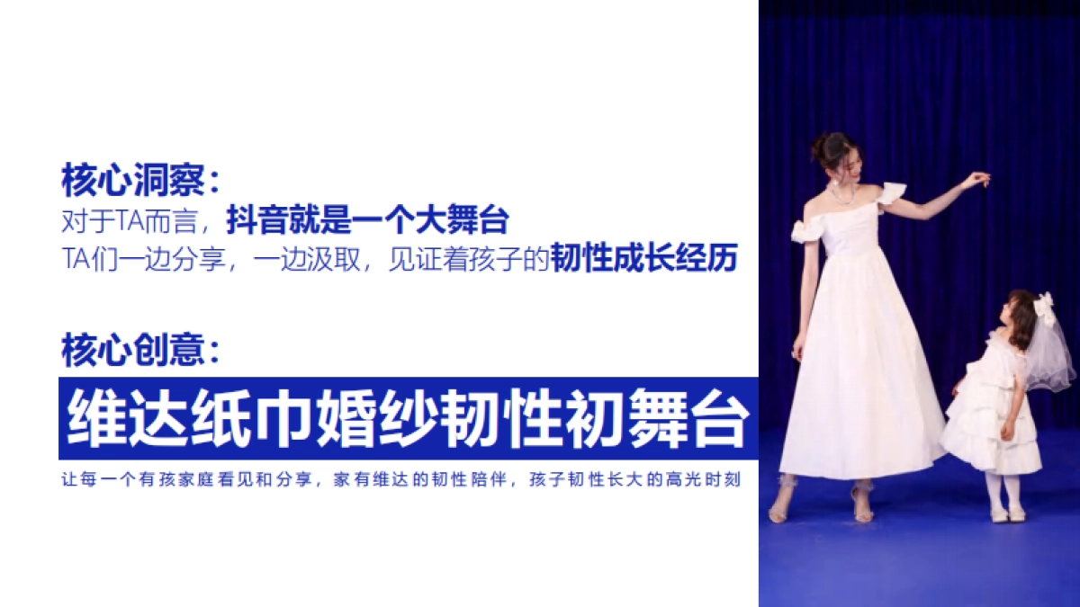 2025年维达抖音电商超级品牌日总结_第3页