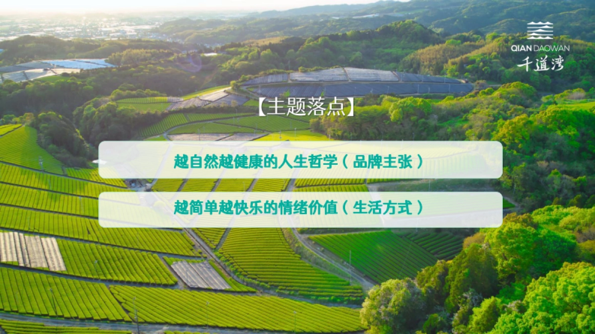 白茶品牌茶叶新品发布会活动策划案_第10页